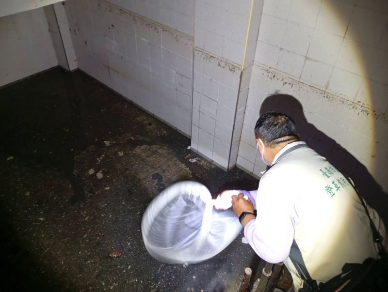 積水地下室掃蚊監測病媒蚊 積水地下室掃蚊監測病媒蚊